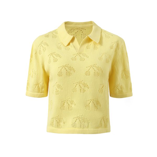 Cotton Sweater Factory China | Women's 100% Cotton Short Sleeve Knitwear